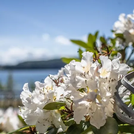 Gaestehaus Zum Felsen Penzion